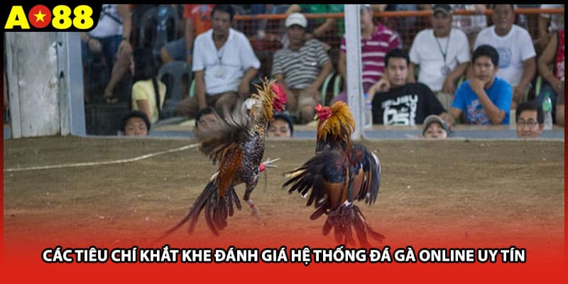 Các tiêu chí khắt khe đánh giá hệ thống đá gà online uy tín