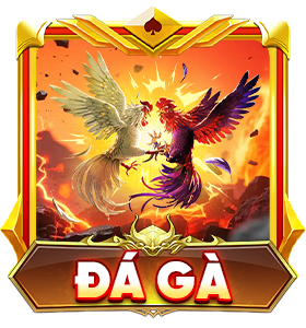 đá gà