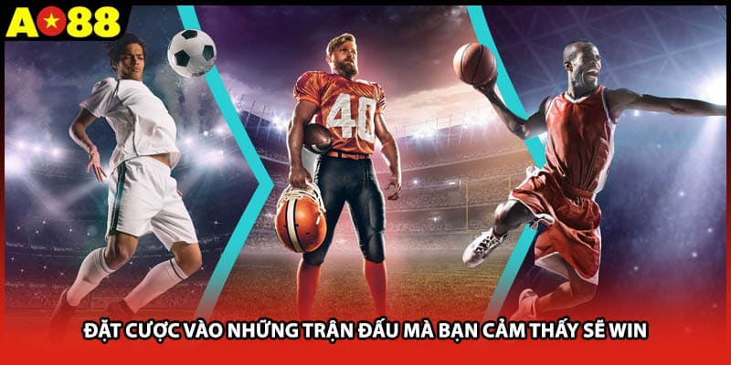 Đặt cược vào những trận đấu mà bạn cảm thấy sẽ win