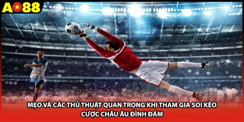 Mẹo và các thủ thuật quan trọng khi tham gia soi kèo cược châu Âu đình đám