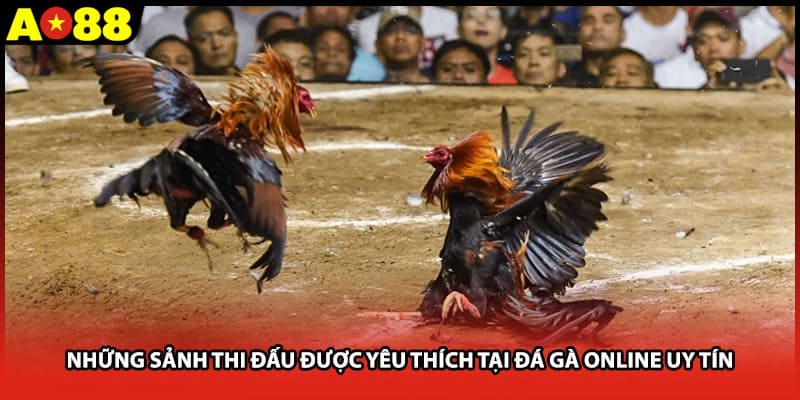 Những sảnh thi đấu được yêu thích tại đá gà online uy tín