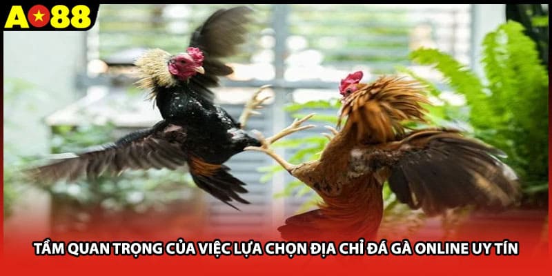 Tầm quan trọng của việc lựa chọn địa chỉ đá gà online uy tín