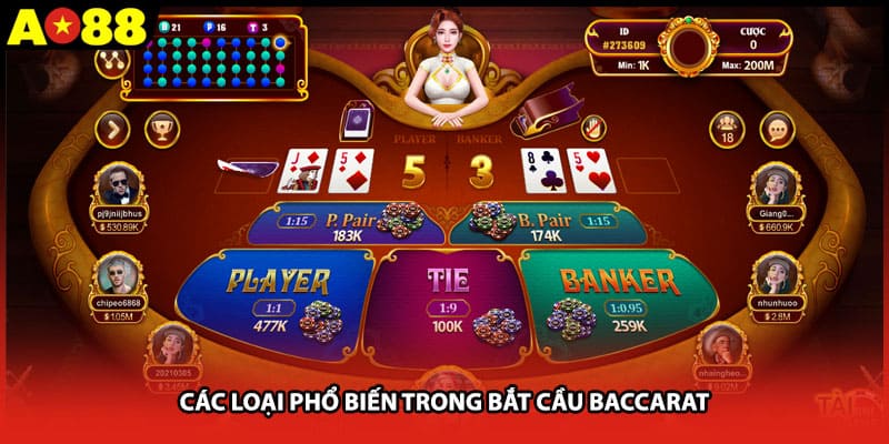 Các loại phổ biến trong bắt cầu baccarat